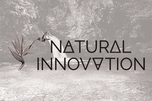 Natural Innovation